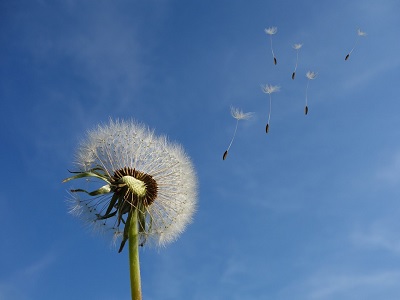 Abschied für die 4. Klassen