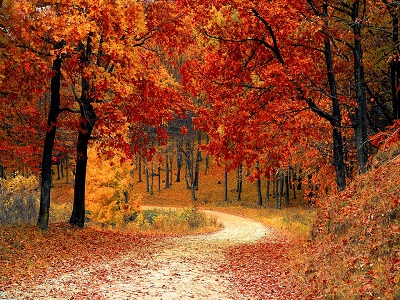 Schöne Herbstferien!